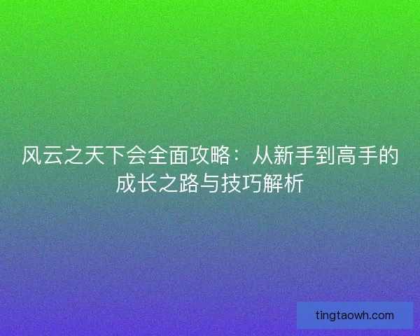 风云之天下会全面攻略：从新手到高手的成长之路与技巧解析